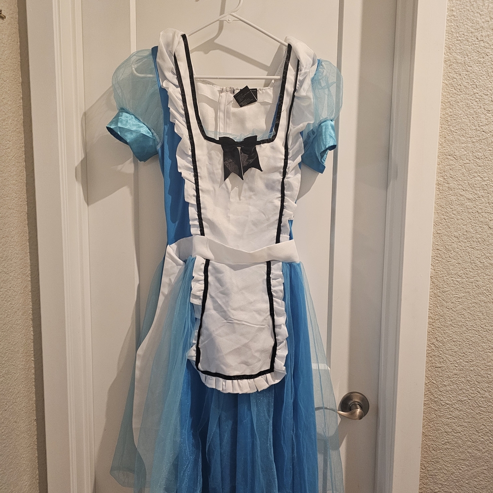 Blue and White Women's Costume Dress